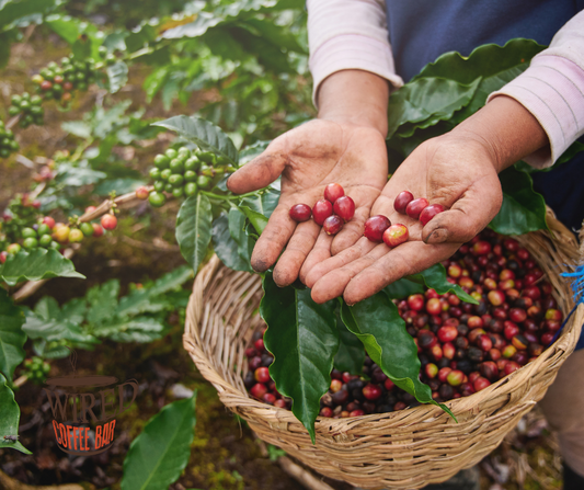 Yes! Your Coffee's Origin Matters