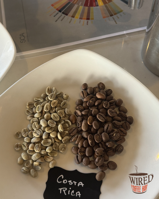 Single Origin Coffee vs Blend: What’s the Difference?