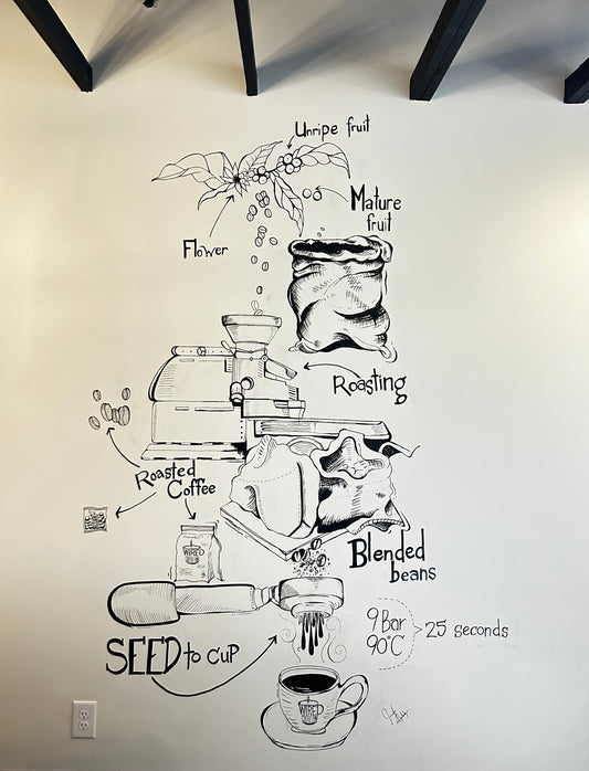 Coffee as Everyday Luxury: Why Knowing Your Bean Matters